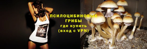 скорость Алексин