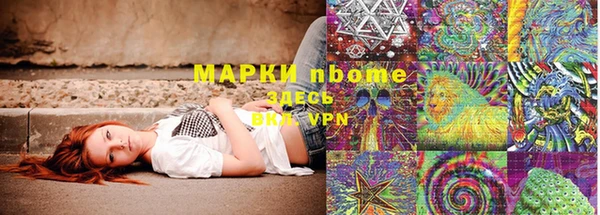 прущий лед Алзамай