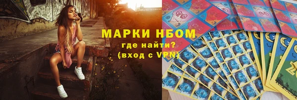прущий лед Алзамай