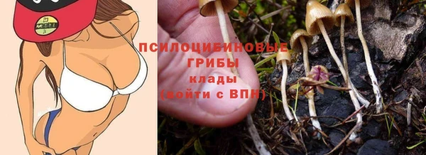 прущий лед Алзамай