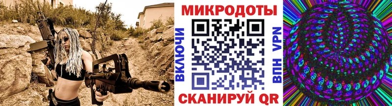 Псилоцибиновые грибы Psilocybine cubensis Дедовск